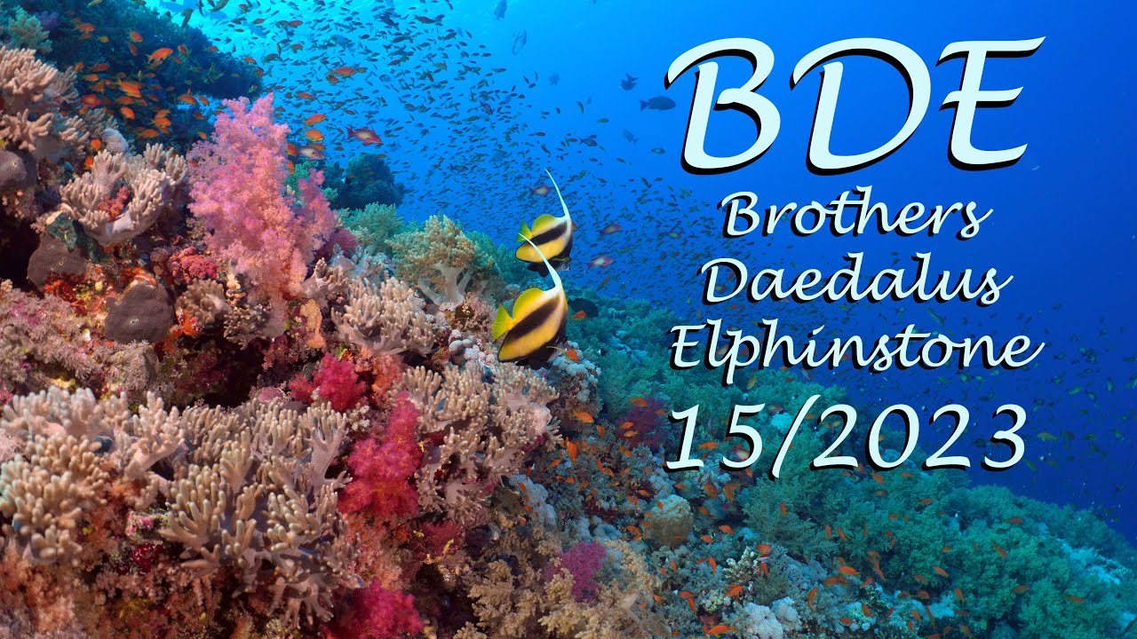 BDE: Brothers - Daedalus - Elphinstone. The best shots of the week 15/2023