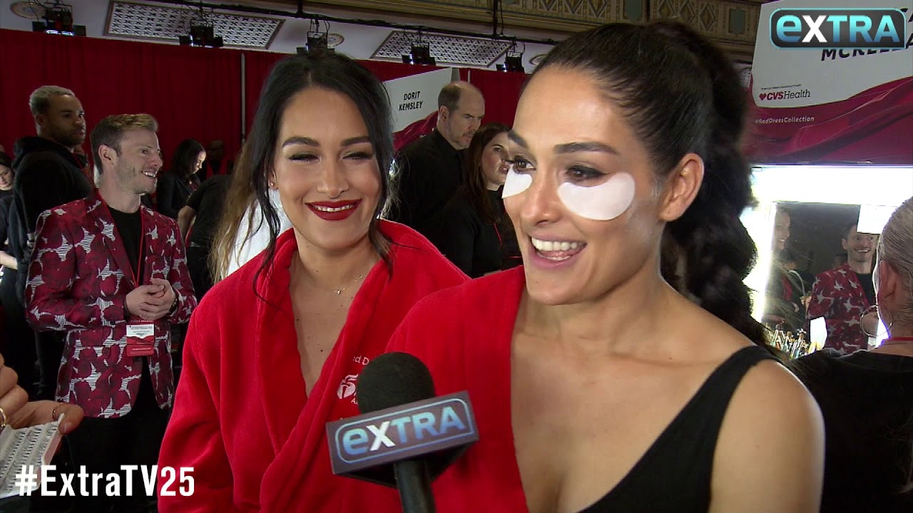 Brie Bella Describes the Perfect Guy for Nikki
