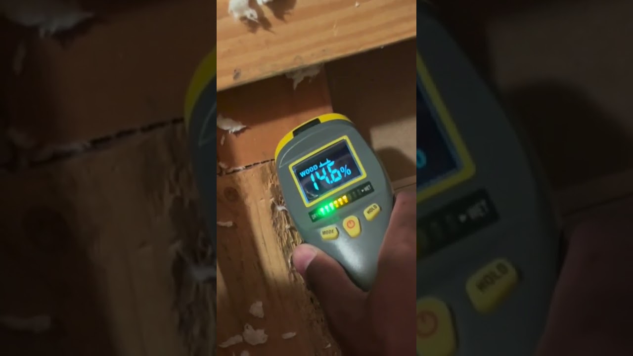 Обнаруживайте влажность и предотвращайте появление плесени с помощью General Tools! 😎 #влажность ...