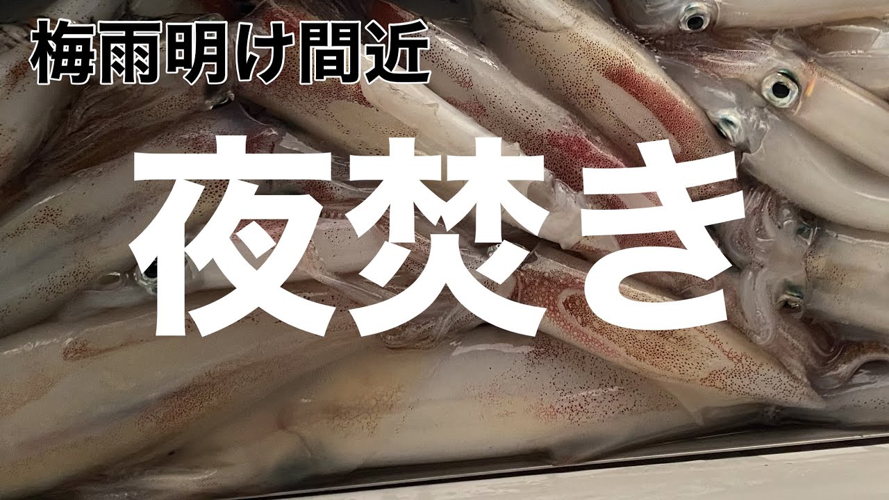 【爆釣】夜焚きでイカが釣り放題！！