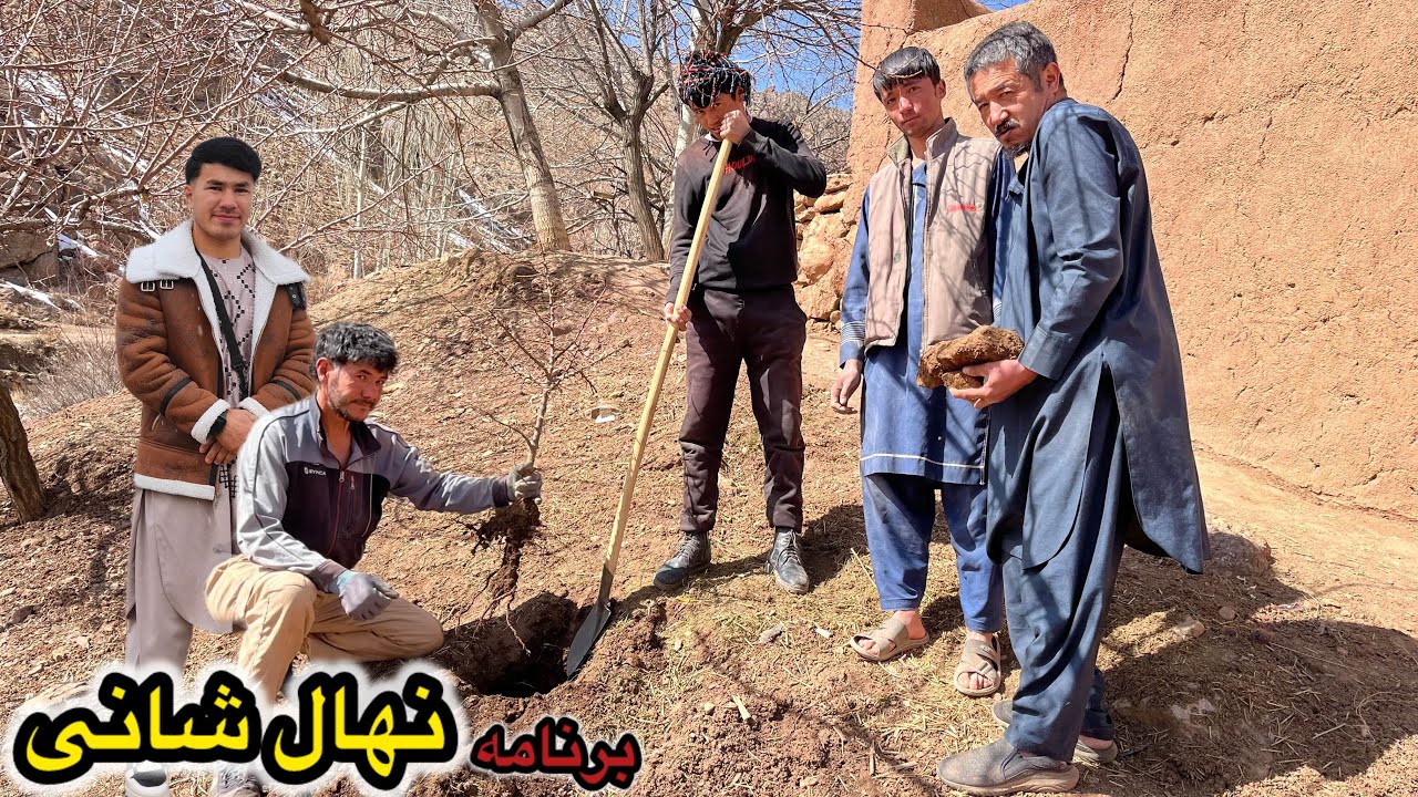 🍂برنامه نهال شانی و ترمیم 😍با کمک تجربیات محمد حسین در مورد نهال💁👌