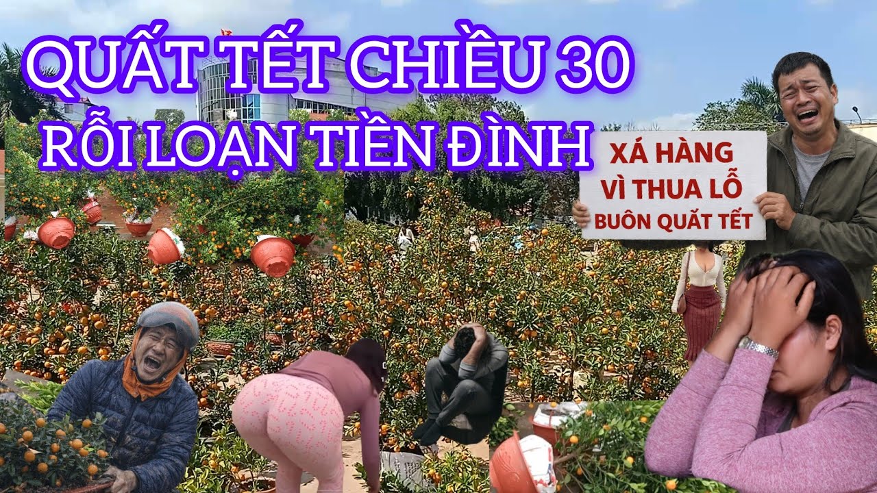 CHIỀU 30 TẾT QUẤT CÒN RẤT NHIỀU ĐAU ĐẦU HẠ HUYẾT ÁP VỚ NỢ RỒI 