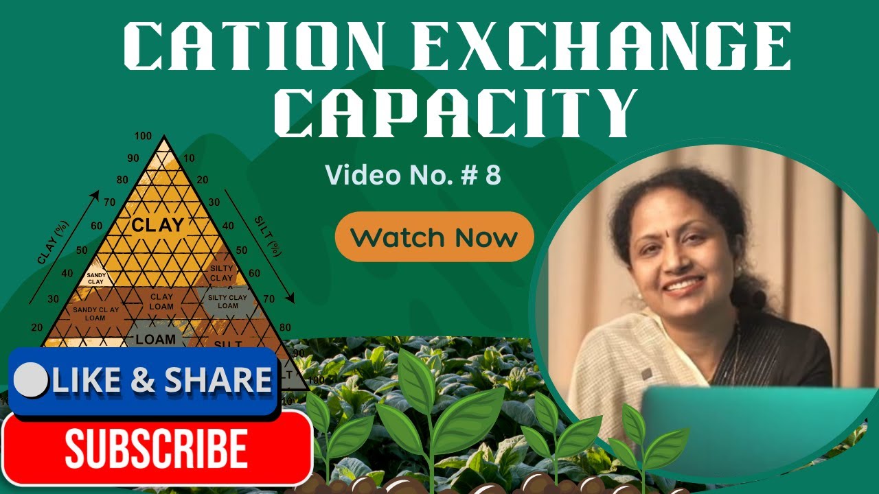 Cation Exchange Capacity (CEC) Explained | Soil Quality Parameter | Agriculture Biochemistry Lecture
