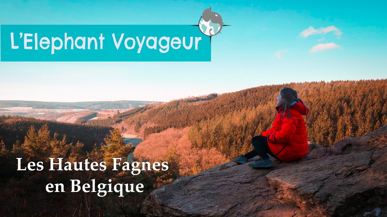 Le parc des Hautes Fagnes : une micro-aventure en Belgique !