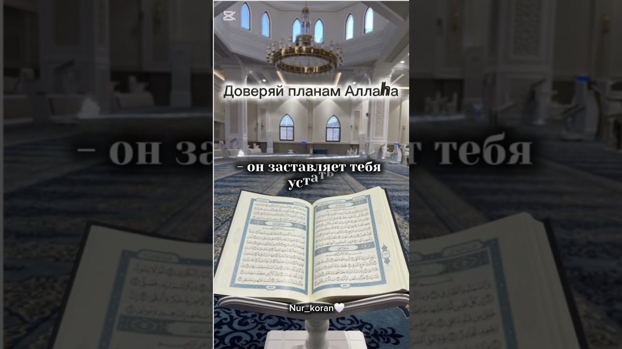 Доверься Аллаху #quran #напоминание #faith #quotes #коран