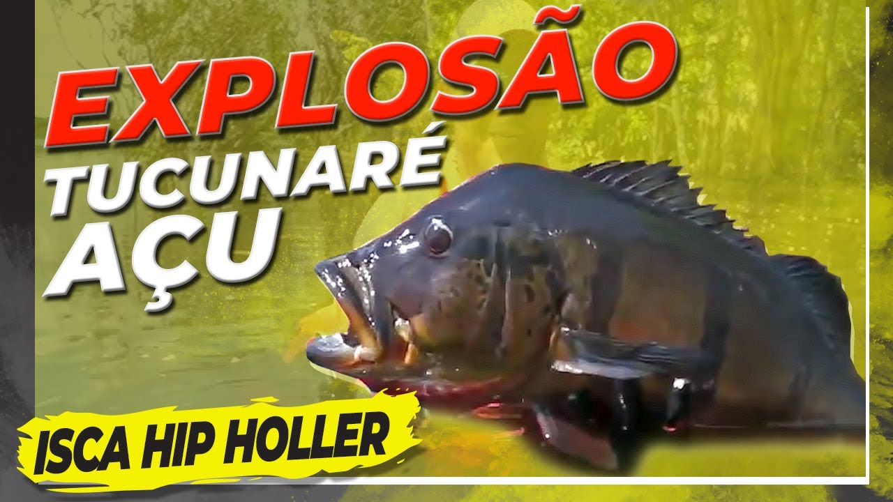 Mega Explos&atilde;o do Tucunar&eacute; A&ccedil;u de 9,5kg na isca Hip Holler (Verdadeira porrada na superf&iacute;cie)