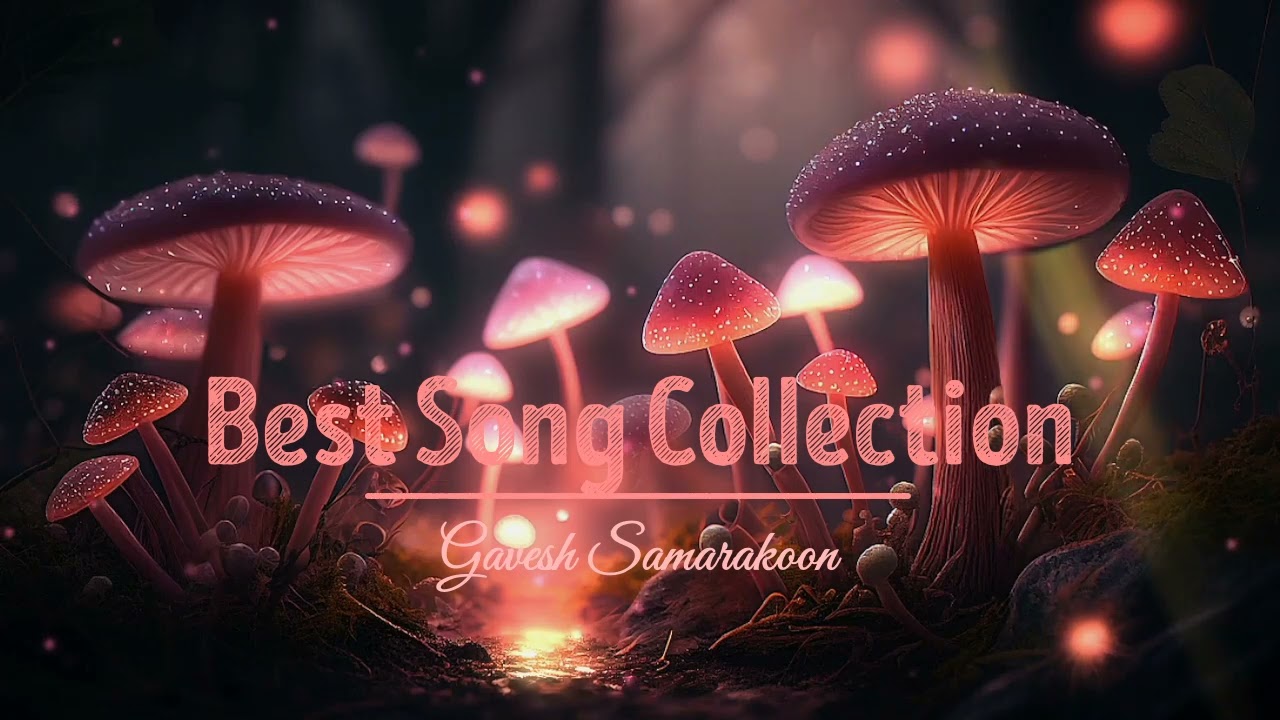 Best Sinhala Song Collection