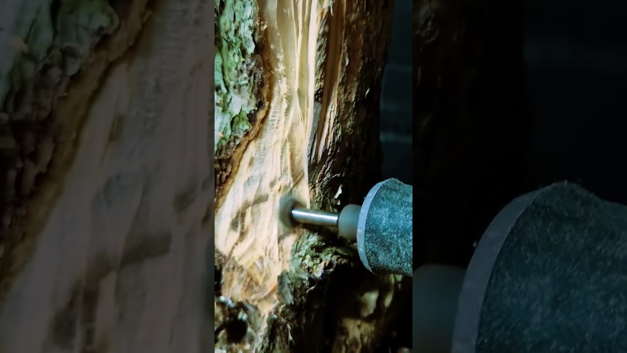 how to carve a bonsai 