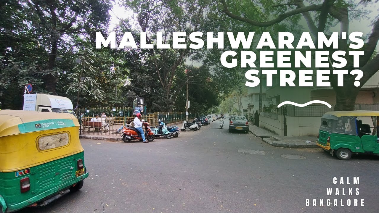 This Green Lane in Malleshwaram Feels Like a Different Bangalore 🌳
