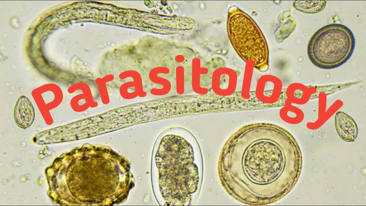 Introduction of Parasitology || Type of parasites and Host ||