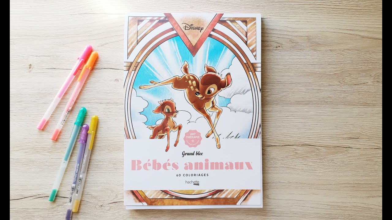 Grand bloc Bébés animaux Disney 