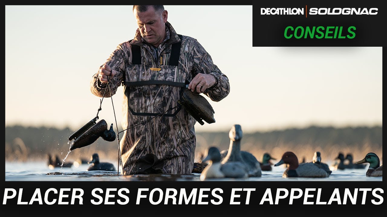 COMMENT PLACER CORRECTEMENT FORMES ET APPELANTS