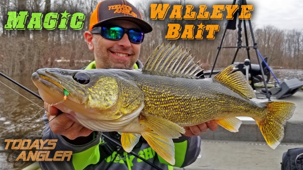 MAGIC Walleye Bait - Spring Fly Fishing Outfishes Plastic!! - Todays Angler