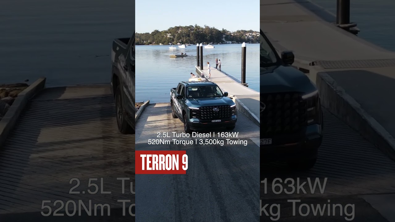 LDV Terron 9 - Power