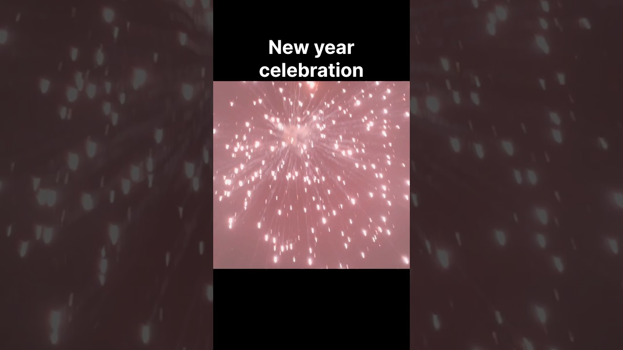 New year celebration gone crazy 😂