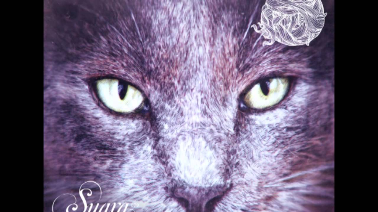 Tom Hades - Shap Shoy (Original Mix)