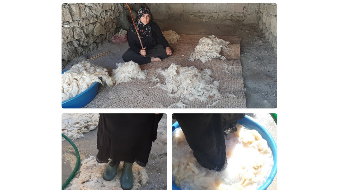 izlemeden yün yıkmayın TERTEMİZ YÜN YIKAMA /yün nasıl yıkanır /YÜN ÇIRPMA İŞLEMİ /BEMBEYAZ YÜN