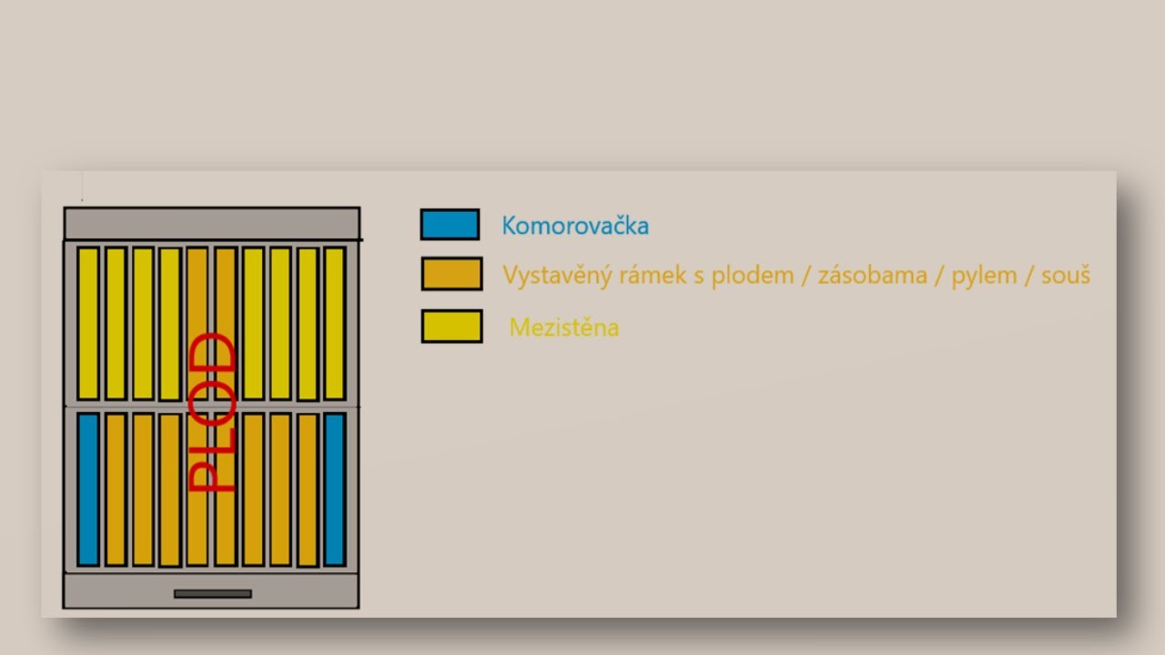 9. Včelstvo na jaře: Rozšiřování do druhého nástavku a problém s nedostatkem souší