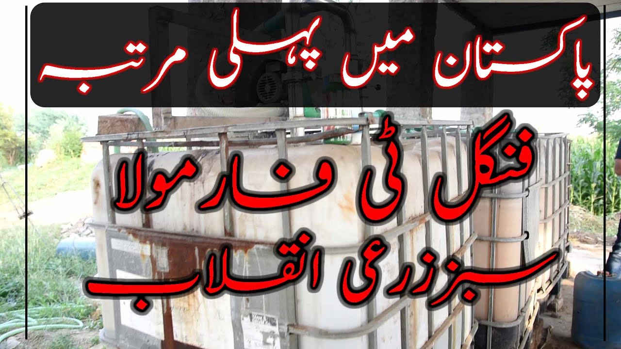 Fungal dominant compost tea|How to make compost tea|Regenerative Agriculture|فنگل ٹی کی تیاری