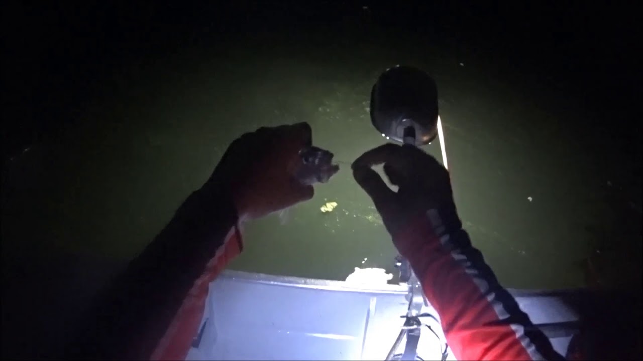 dicas de pesca de corvina a noite com vara telescópica  em borborema - sp guia de pesca jhonatan