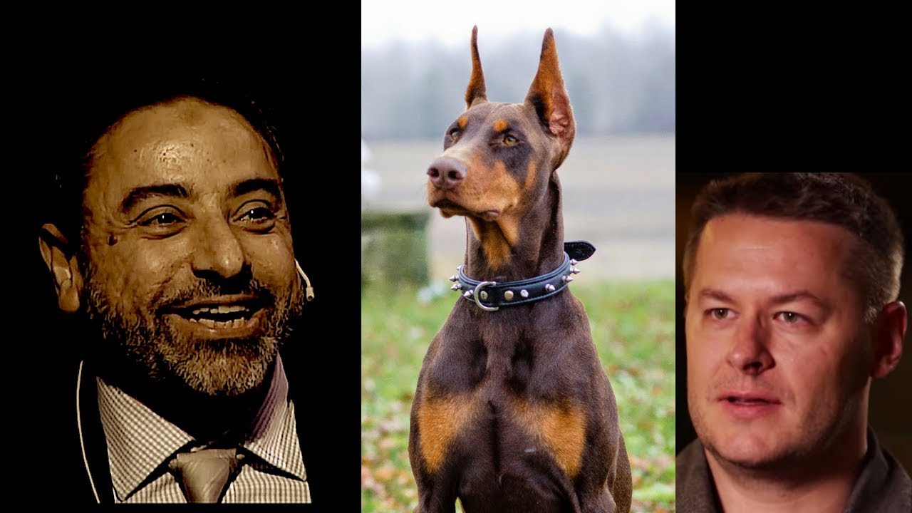Do Muslims hate dogs as Islamicize Me Islamophobes claim | Fadel Soliman