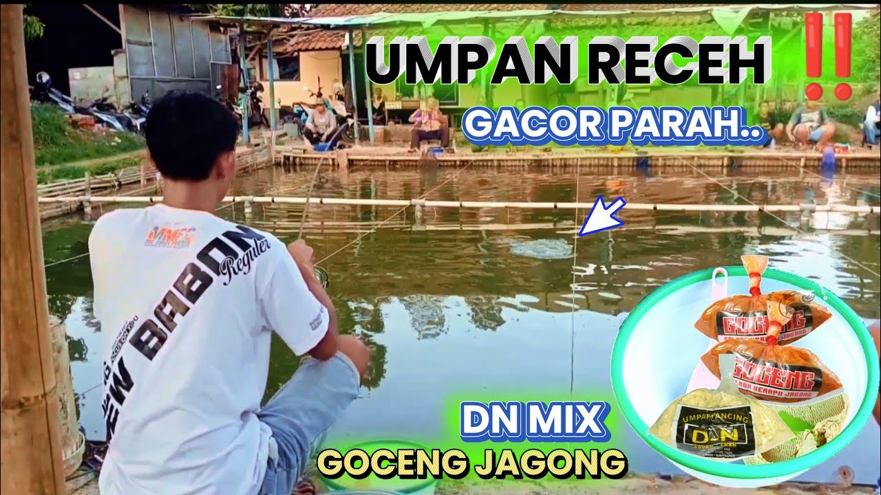 Alhamdulillah total ikan paling banyak,Testing umpan receh ‼️ goceng jagong mix dn