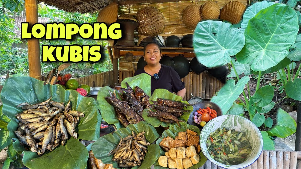 INI DIA TANAMAN LOMPONG KUBIS ANTI GATAL || MASAK HASIL MACING 3 MALAM