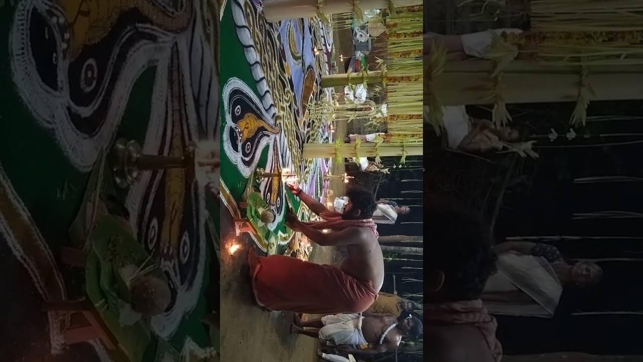 പനമണ്ണ പാമ്പും തുള്ളൽ ഭാഗം2