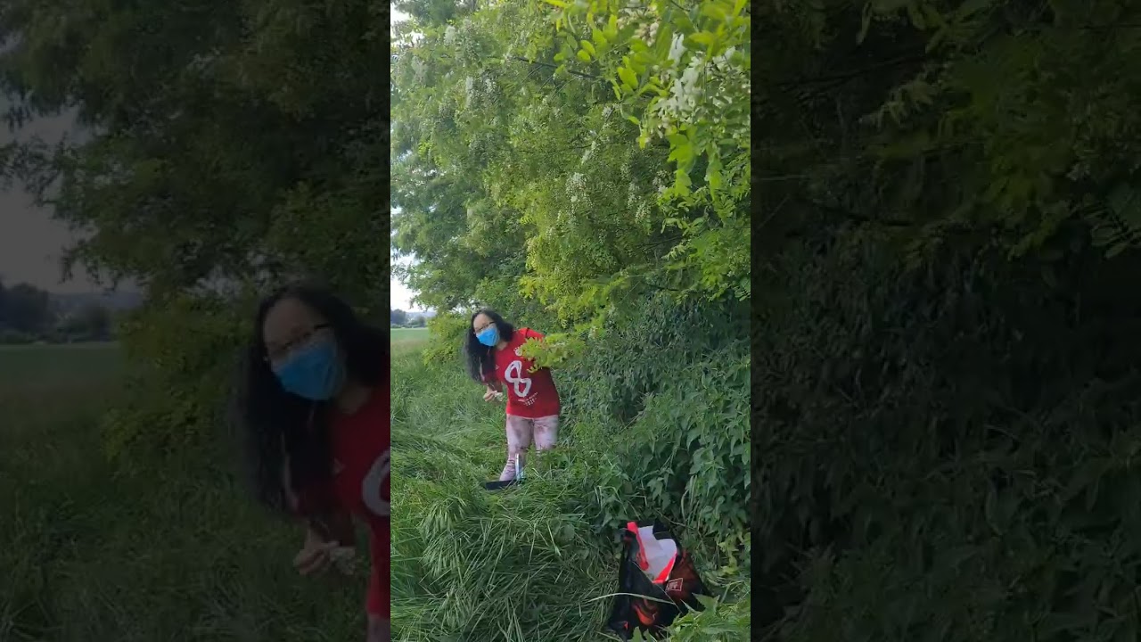 เข้าป่าหาผัก #nature #เก็บผักต่างแดน #ดอกแคร์ฝรั่ง #garden