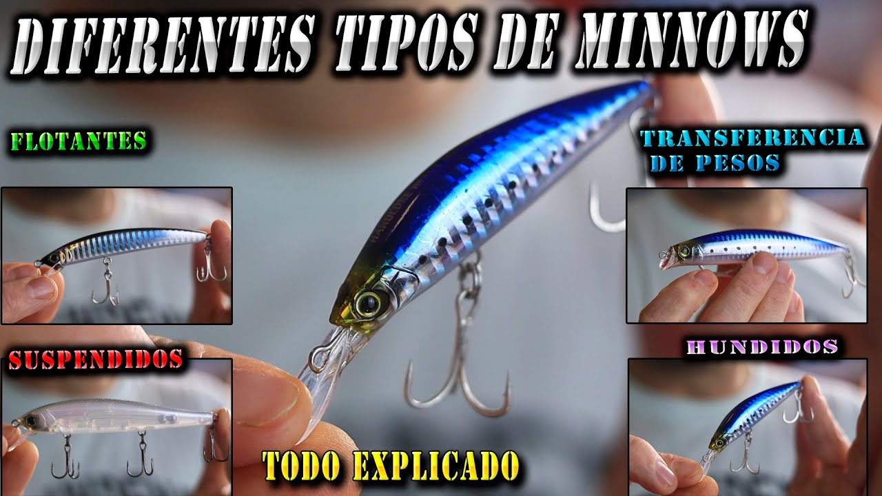 APRENDER A USAR LOS DIFERENTES TIPOS DE SE&Ntilde;UELOS (MINNOWS)