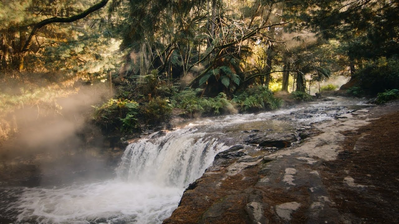 The best natural Hot Springs in Rotorua New Zealand