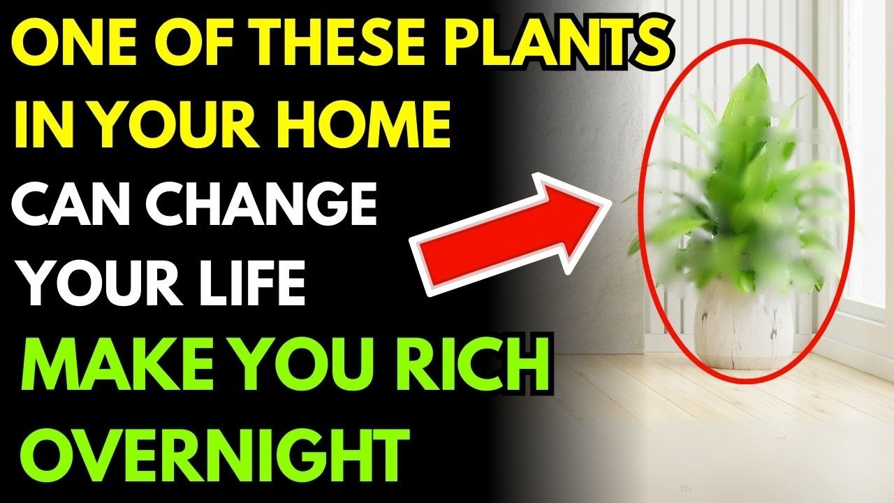 Just One Of These 6 Plants Can Shift Your Home’s Luck—And Bring A Flow Of Instant Wealth Inside
