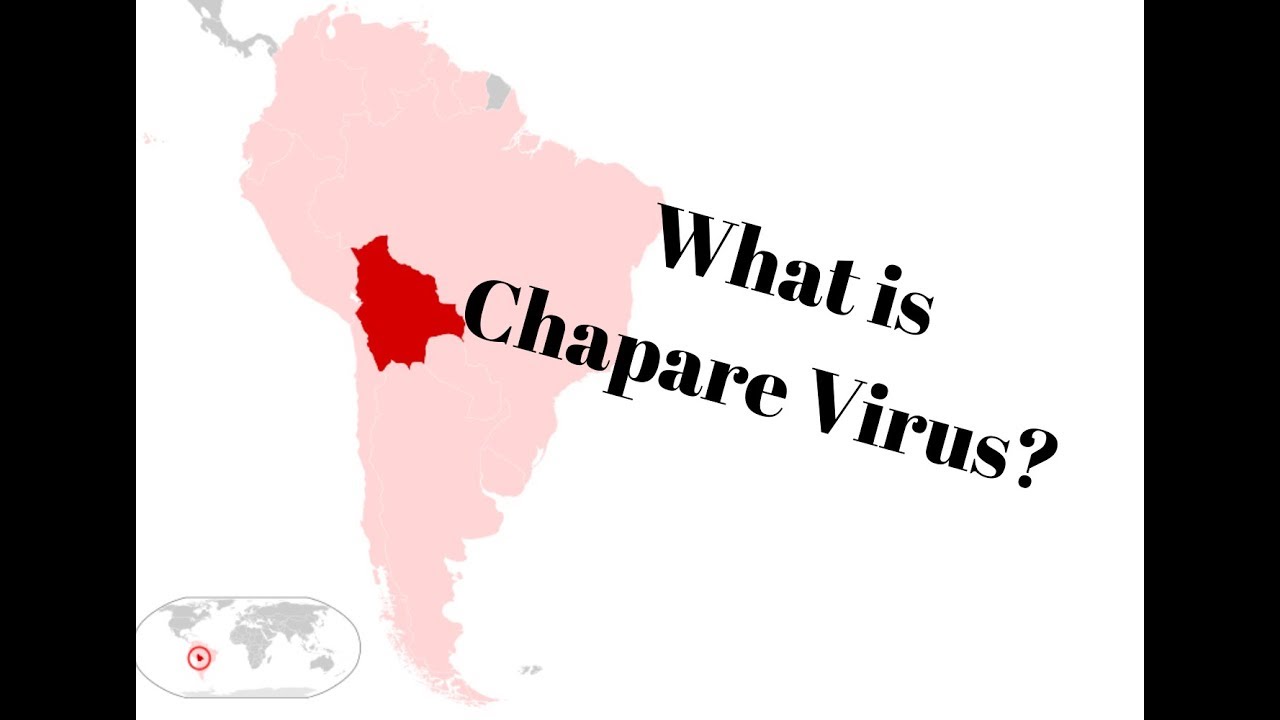 Bolivia hemorrhagic fever outbreak: What is Chapare virus?