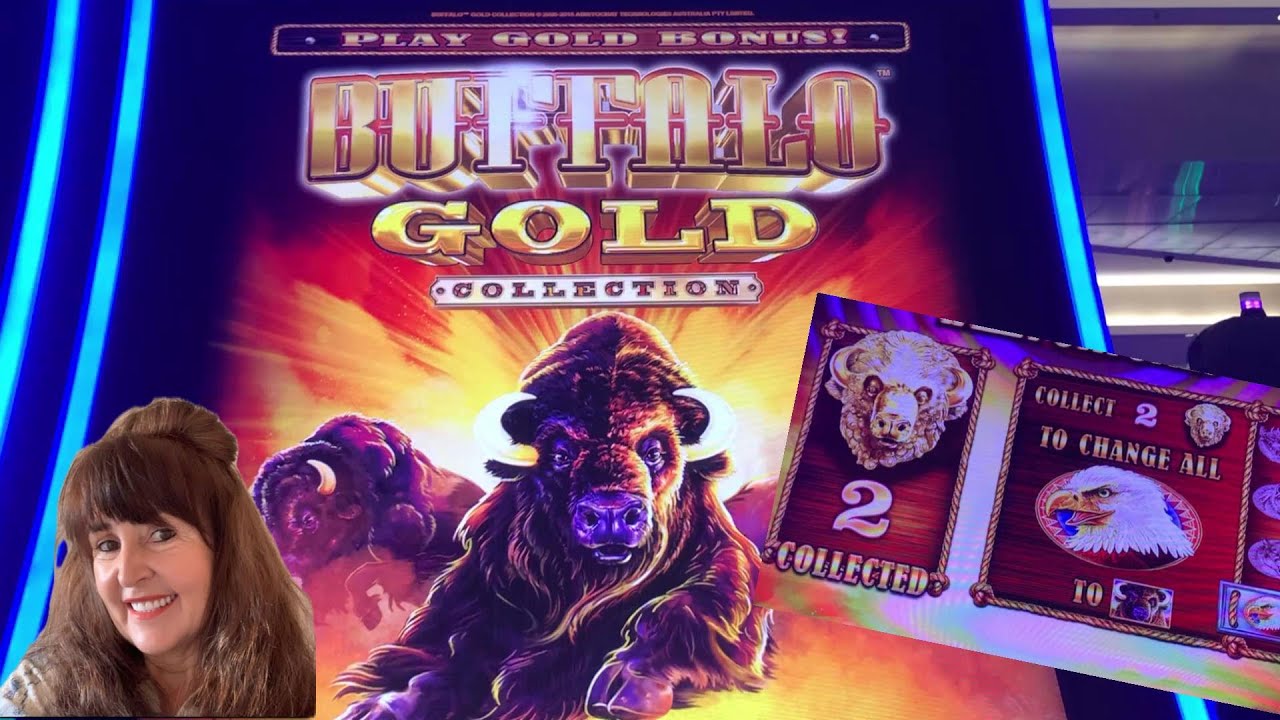 Buffalos Gold Comeback !!!!  🔥  If you don't try, you'll never know how it would have turned out. 🔥
