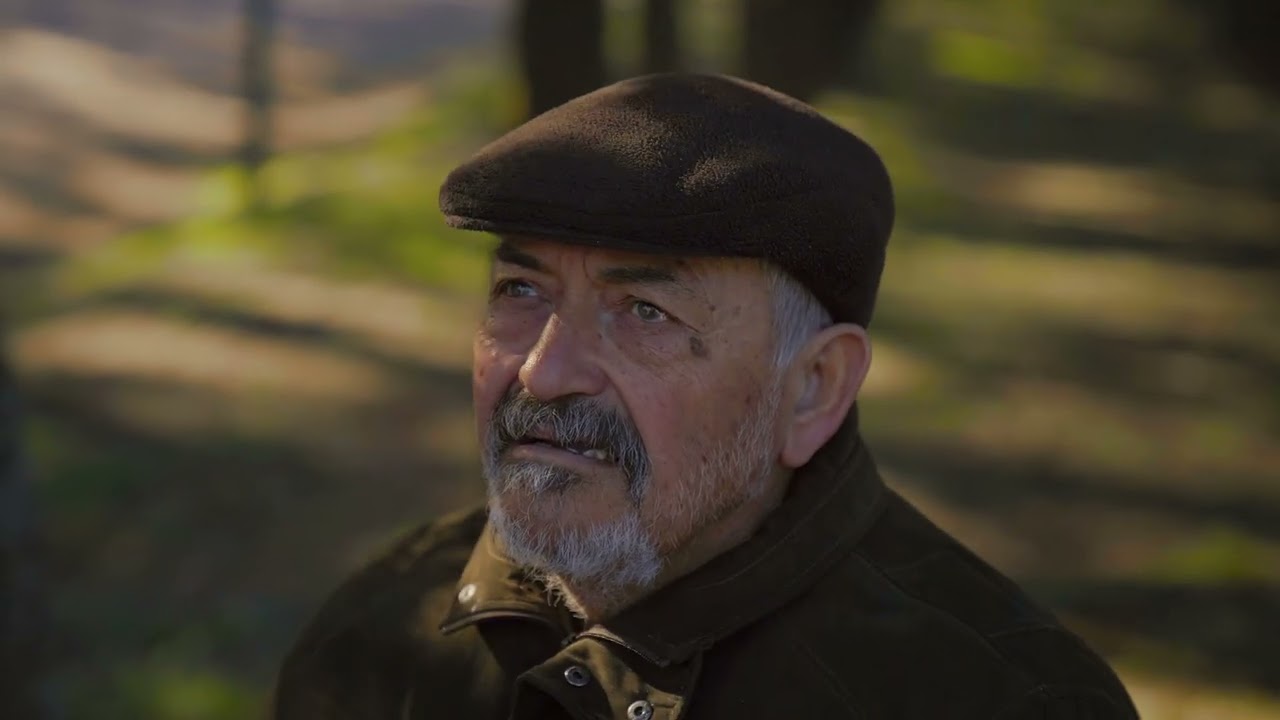 VERSOS EN SEPIA - COORDENADA 213