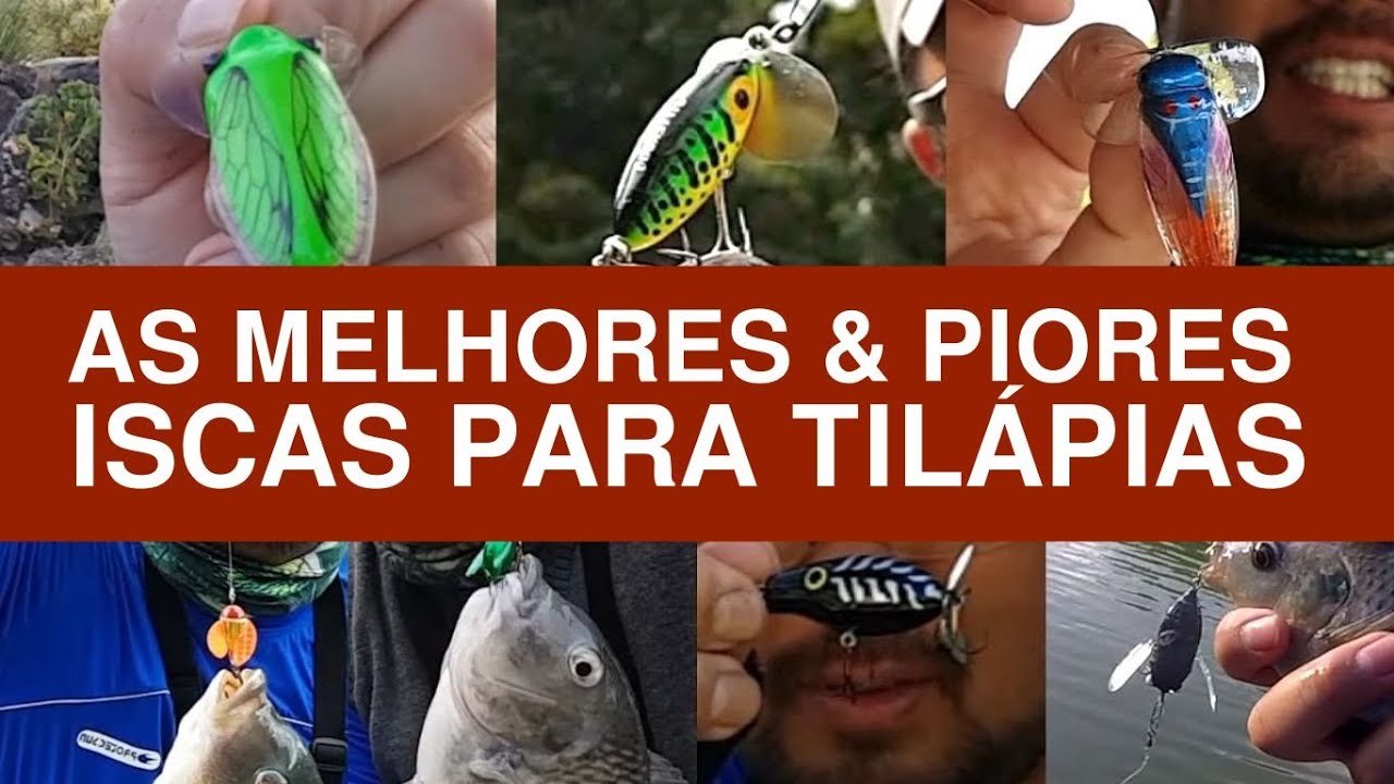 Veja esse video antes de comprar - As Melhores & Piores iscas para Tilápias