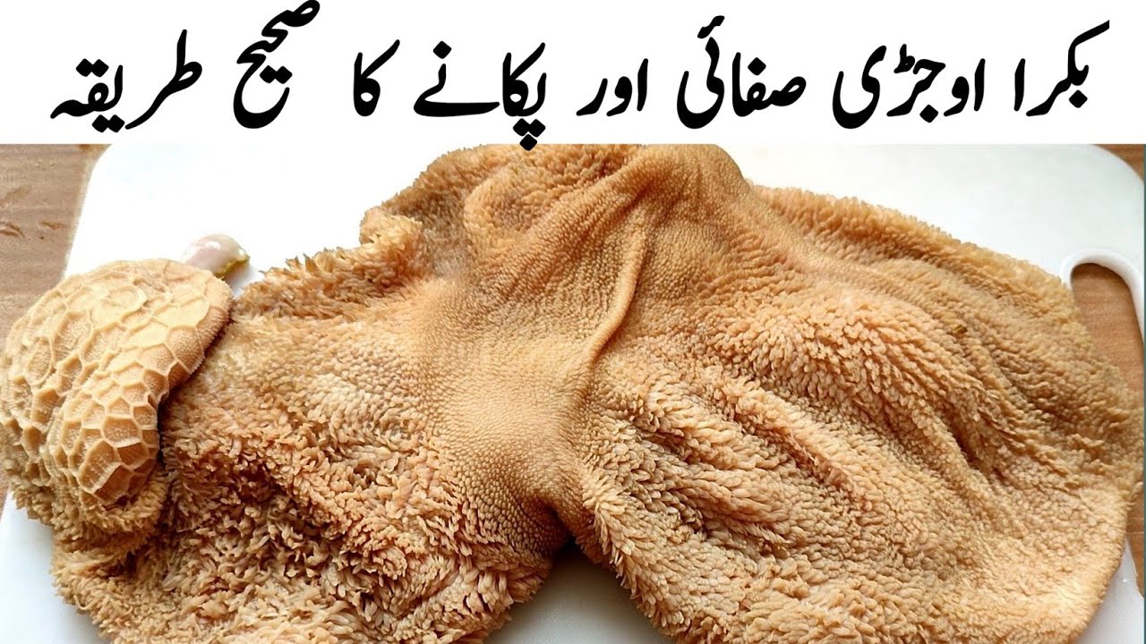 Mutton Ojri Saaf Karne Ka Tarika l Bakra Ojri Safai Aur Pakane Ka Sahi Tarika