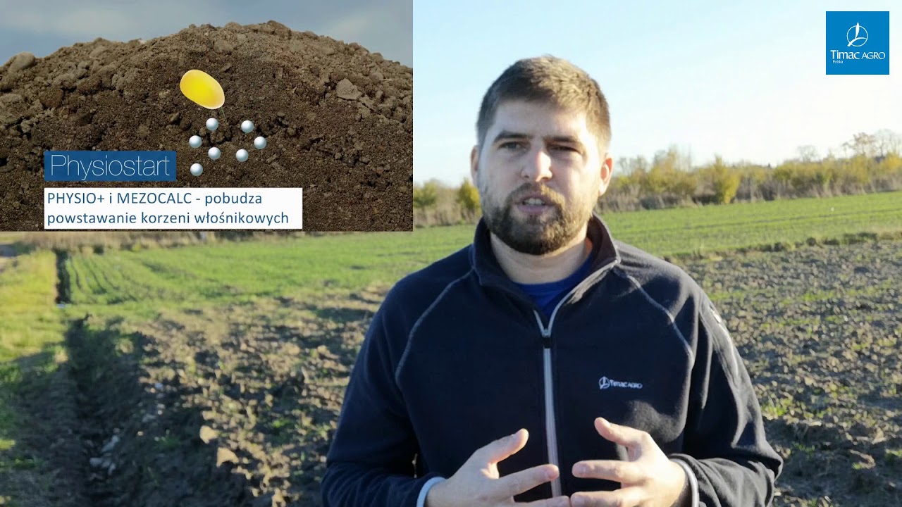 Rola fosforu w produkcji warzyw - Komunikat Timac Agro Polska