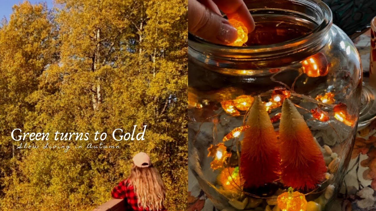 Green turns to Gold 🍂 Pumpkin scones | Autumn terrarium | Slow living in Canada 🍁 