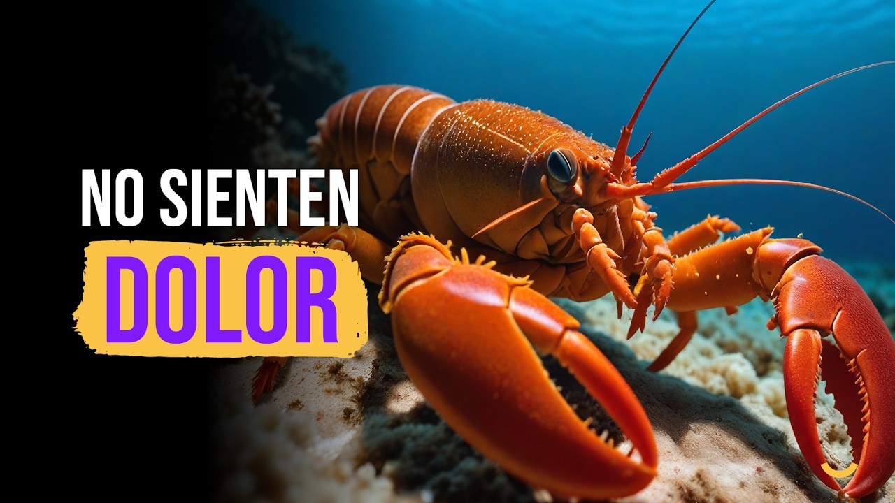 ANIMALES QUE NO SIENTEN DOLOR COMO NOSOTROS