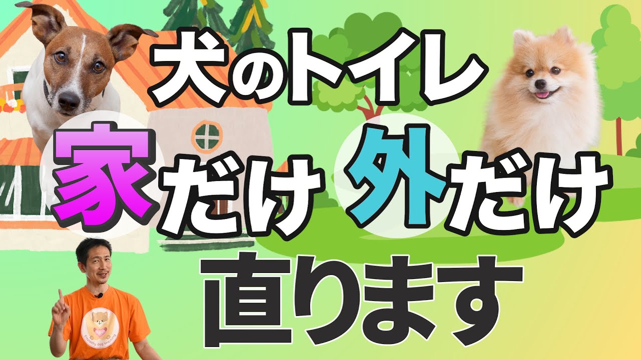 愛犬のトイレ習慣を劇的に改善する秘訣とは？