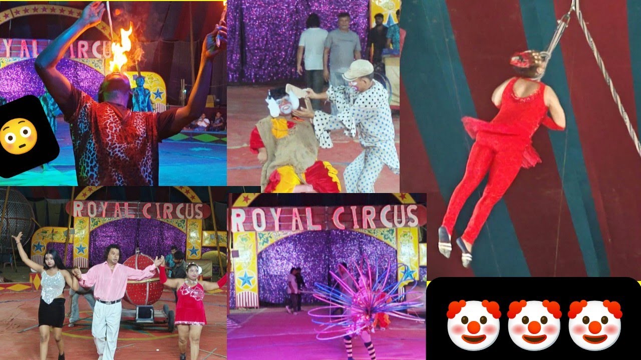 🤡Royal circus ARA 😍 once again after 18 years 🤡