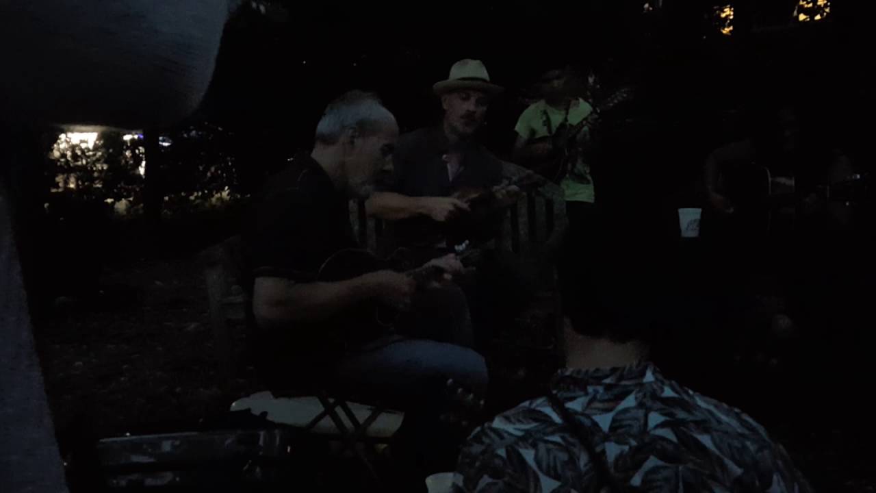 Swannanoa Gathering 2016 street scene