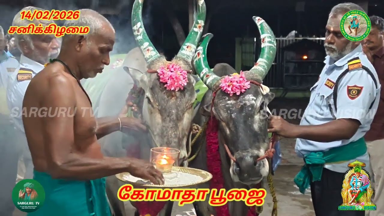 14/02/2026 சனிக்கிழமை கோமாதா பூஜை 