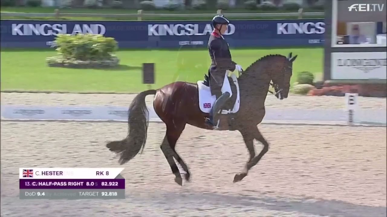 2024 WBFSH Dressage Studbook of the Year: KWPN