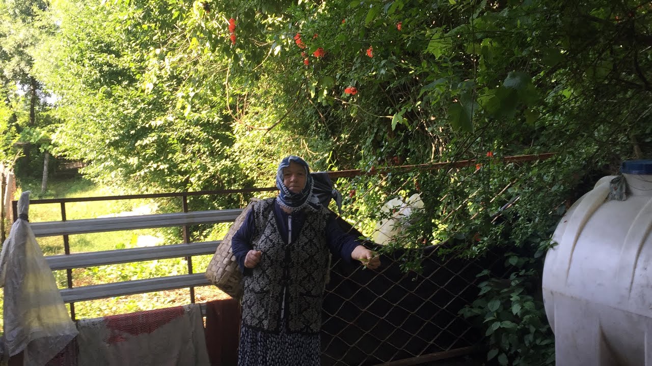 BABANEMLE GÜNLÜK İŞLER!! #zonguldak #devrek #köydeyaşam #vlog #köy