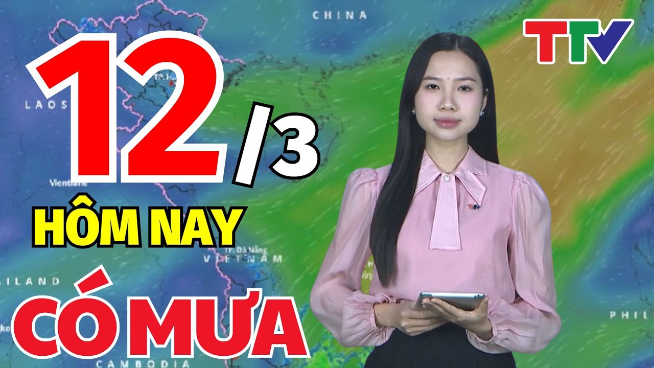 Dự báo thời tiết hôm nay 12/3/2026: Dự báo thời tiết cả nước | Bản tin cảnh báo thiên tai