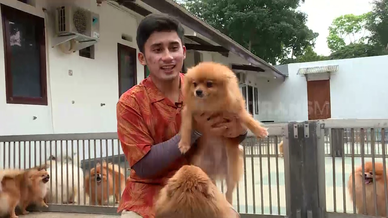 [FULL] SOBAT BONGSOR DAN MONSTER KELAPA | SI OTAN (05/01/22)
