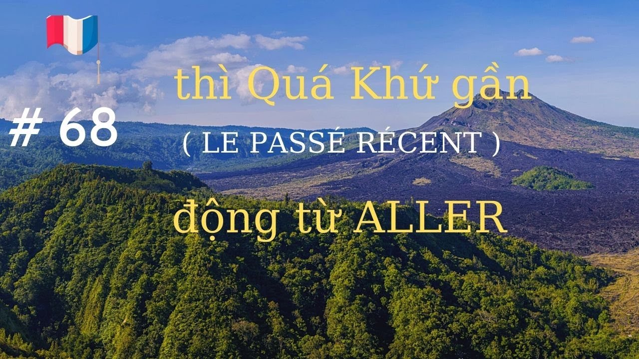 # 68 - động từ ALLER : thì quá khứ ( Le Passé Composé)