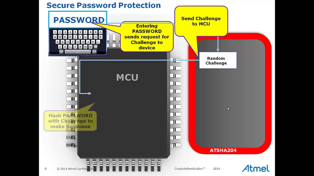 Secure Password Protection